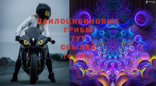 прущие крисы Белокуриха