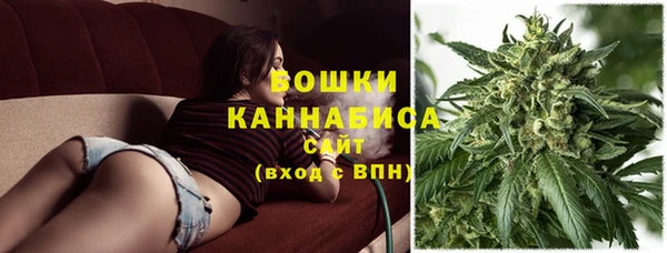 прущие крисы Белокуриха