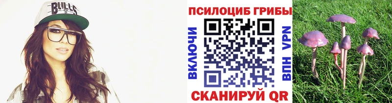 мега Ковдор Псилоцибиновые грибы Psilocybine cubensis